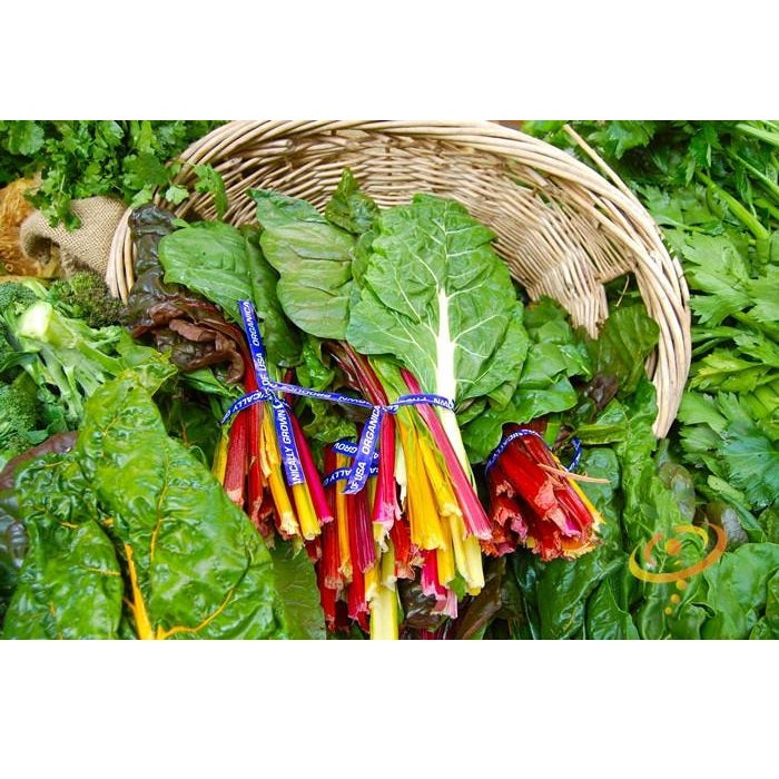 Semillas de acelga arcoíris Suiza (100% Heirloom/No Híbrido/No GMO). 25 semillas aproximadamente