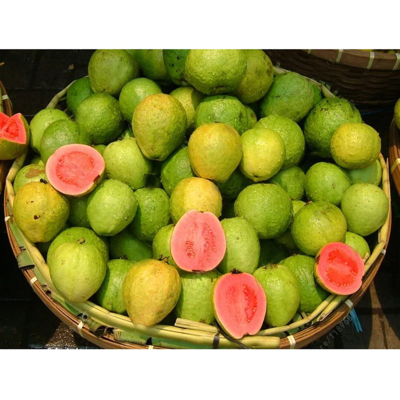 Semillas de Guayaba