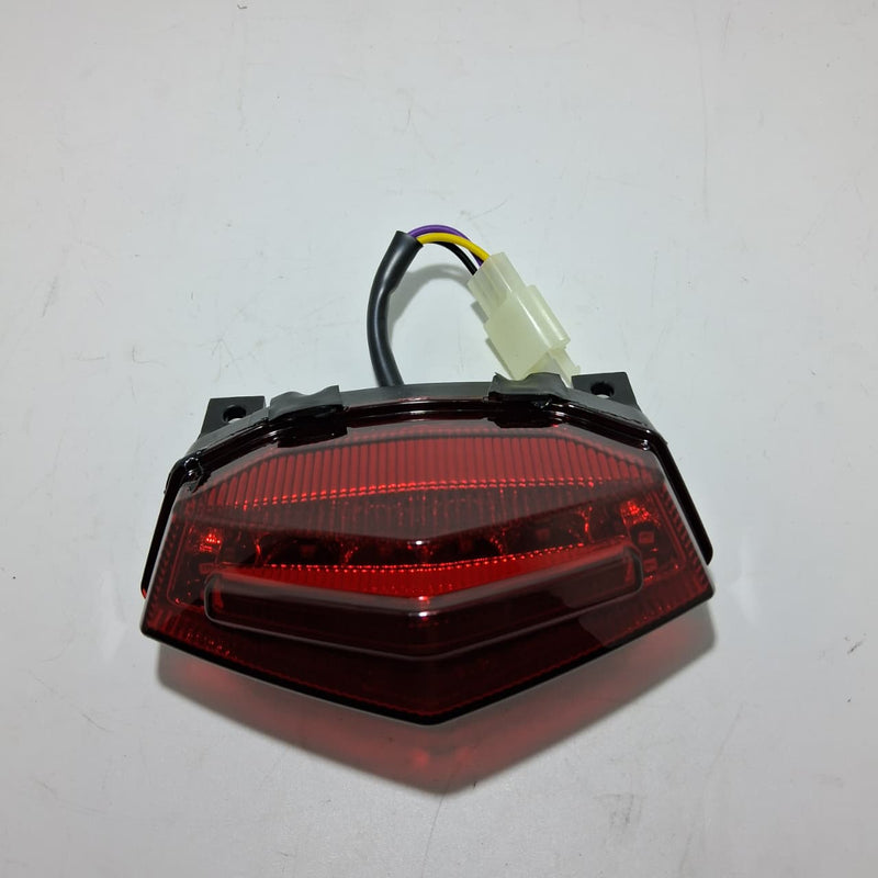 Faro trasero (TRK251)