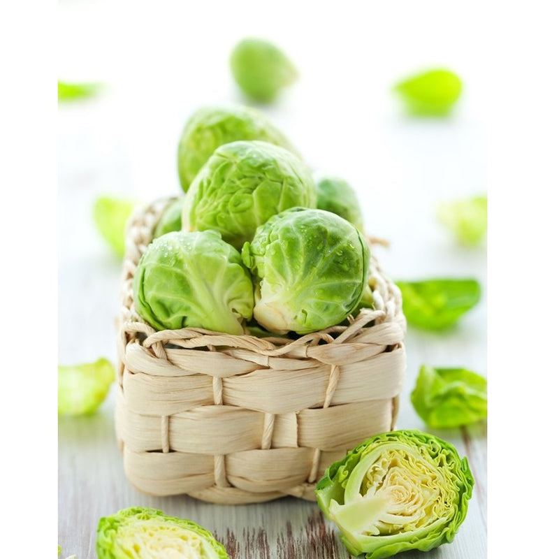 Semillas de coles de bruselas (100% Heirloom / No híbrido / No GMO). 15 semillas aproximadamente.