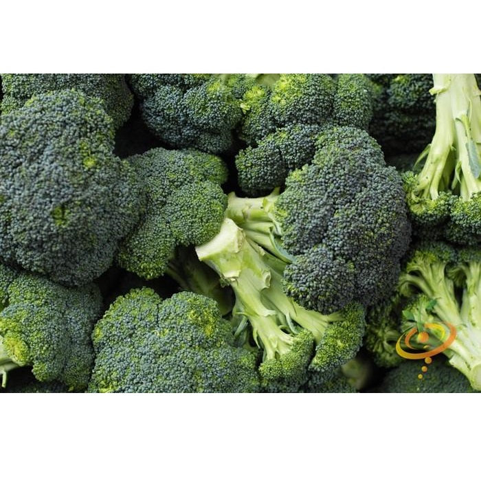 Semillas de brocoli, Calabrese (100% Heirloom/No Híbrido/No GMO). 50 semillas aproximadamente.