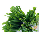 Semillas de cebollin largo, Tokyo White (100% Heirloom/No Híbrido/No GMO). 80 semillas aprox.