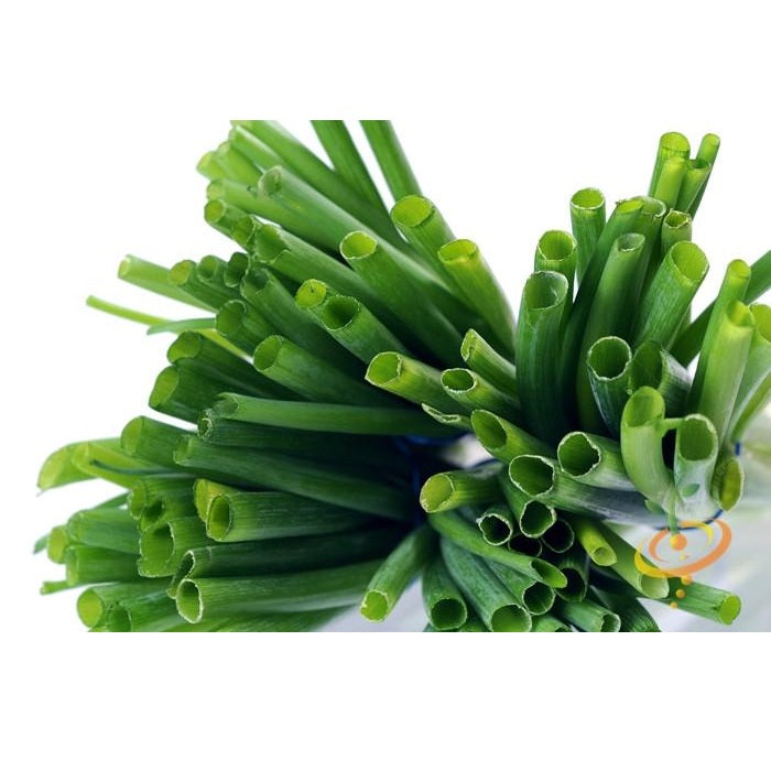 Semillas de cebollin largo, Tokyo White (100% Heirloom/No Híbrido/No GMO). 80 semillas aprox.