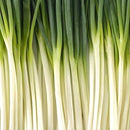 Semillas de cebollin largo, Tokyo White (100% Heirloom/No Híbrido/No GMO). 80 semillas aprox.