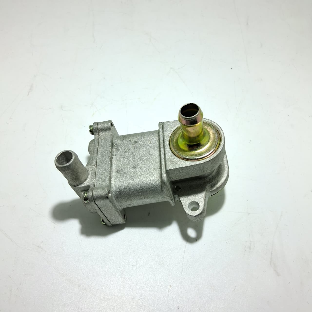 Valvula de caja de aire (TX200)