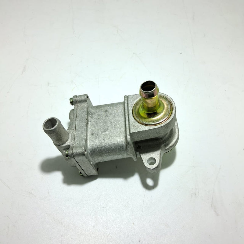 Valvula de caja de aire (TX200)