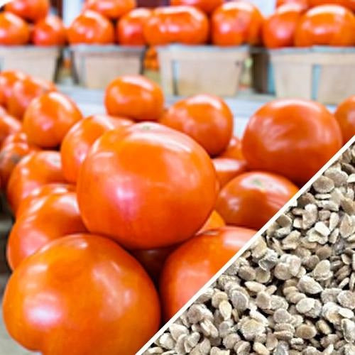 Semillas de tomate criollo (100% Heirloom/No Híbrido/No GMO). 15 semillas aproximadamente