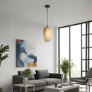 Lámpara Colgante Decorativa E27 Metal Ratán Negro IP20 Con Estilo Moderno Industrial. 230*370*1000mm