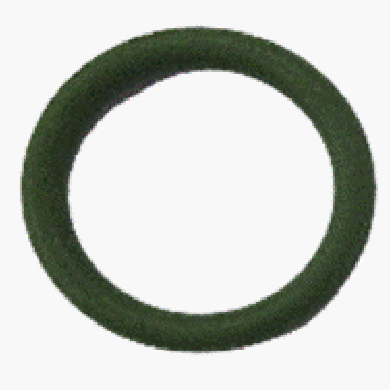 O-ring 19*3.1 (AA021000241)