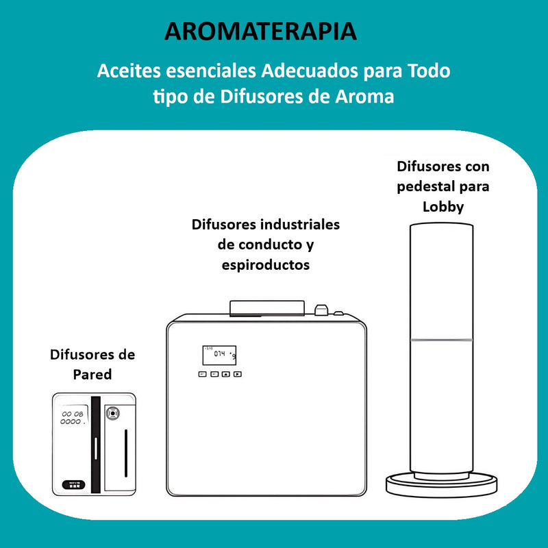 Aceites Esenciales (100ML). Aromaterapia. Fragancias esencias de olor. Ideal para Difusores. (Variedad de aromas)