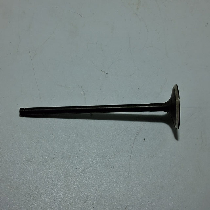 Valvula de admision (ZAFFERANO250)