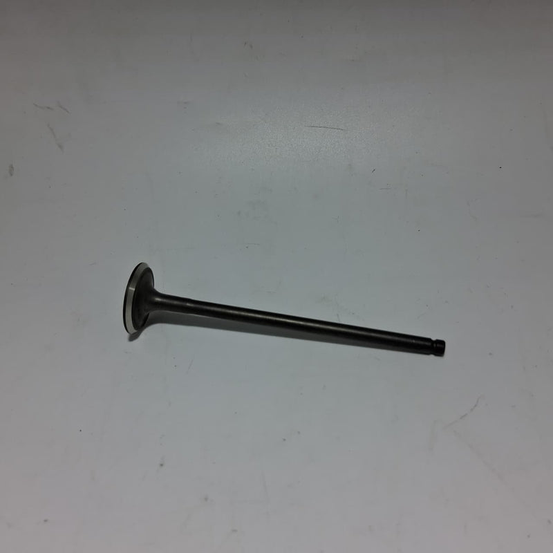 Valvula de escape (ZAFFERANO250)