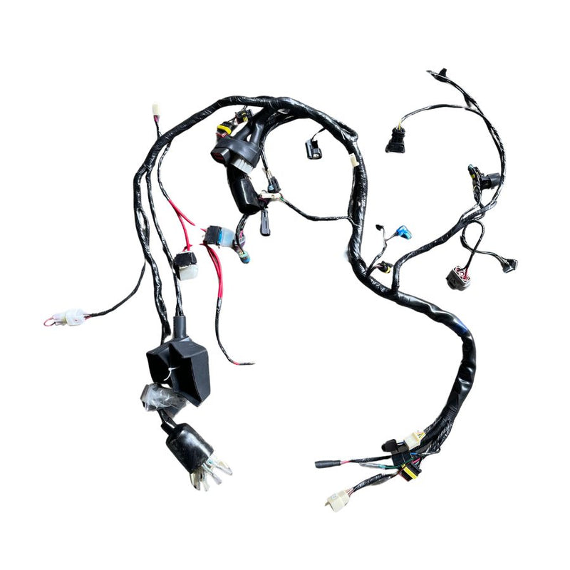 Arnes de cableado electrico (TNT25)