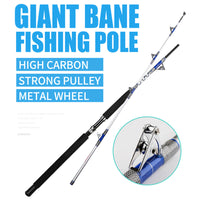 Cañas y Carretes de pesca