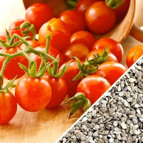 Semillas de tomate cherry rojo pequeño (100% Heirloom/No Híbrido/No GMO). 15 semillas aprox.