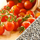 Semillas de tomate cherry rojo pequeño (100% Heirloom/No Híbrido/No GMO). 15 semillas aprox.