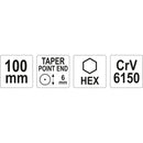 Centro punto punzón  6x100mm