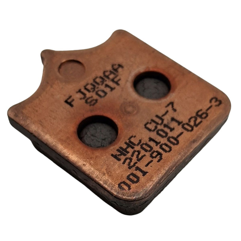 Pastillas de freno delantero (LEONCINO500)