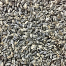 Semillas de girasol enano (100% Heirloom/No Híbrido/No GMO). 30 semillas aproximadamente.