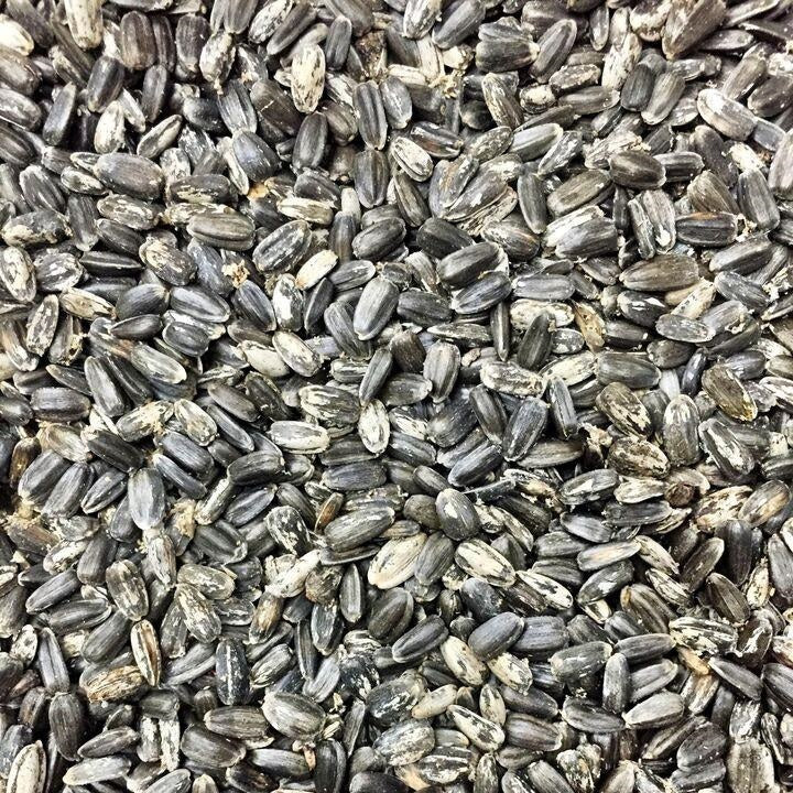 Semillas de girasol enano (100% Heirloom/No Híbrido/No GMO). 30 semillas aproximadamente.