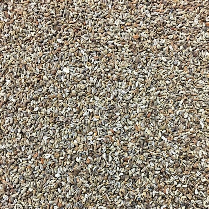 Semillas de perejil rizado, triple musgo (100% Heirloom/No Híbrido/No GMO). 50 semillas aprox.