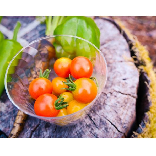 Semillas de tomate cherry rojo pequeño (100% Heirloom/No Híbrido/No GMO). 15 semillas aprox.