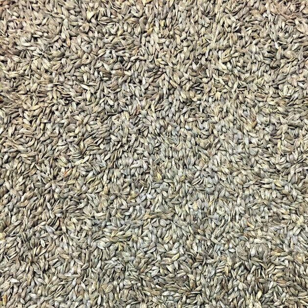 Semillas de lechuga roja (100% Heirloom/No Híbrido/No GMO). 150 semillas aproximadamente.