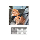 Arnes Pechera para mascota, para transportar en auto. Tamaño XS.