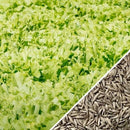 Semillas de lechuga, Tango (100% Heirloom/No Híbrido/No GMO). 150 semillas aproximadamente.