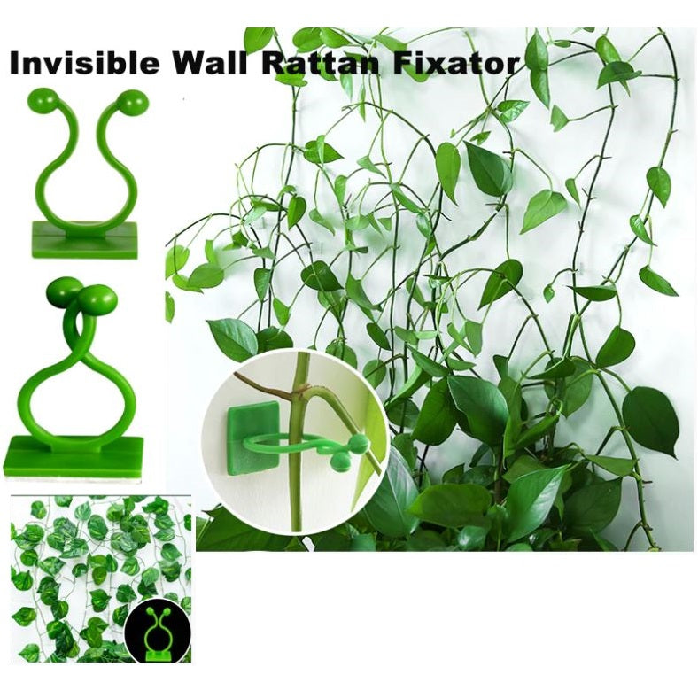 Abrazadera invisible de pared para plantas trepadoras con tape doble contacto. (Paquete de 10 Piezas.)