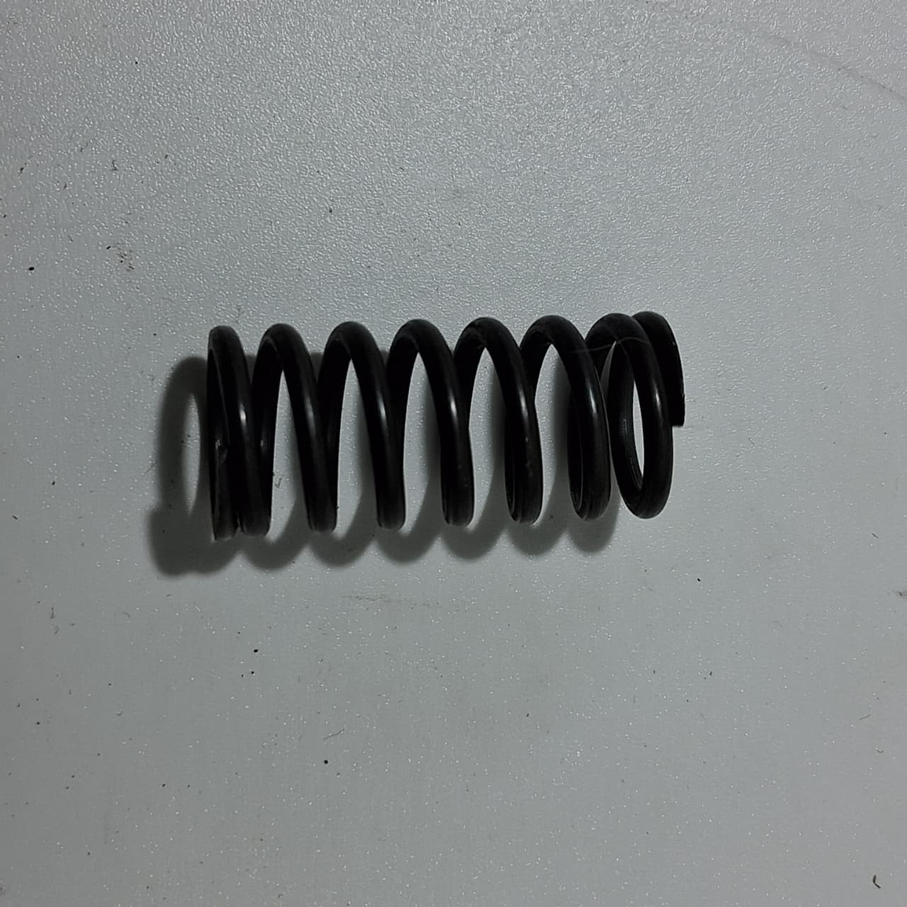 Resortes del embrague (TX200)