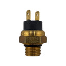 Sensor de temperatura de refrigerante (TNT25 / TRK251 / LEONCINO250 / 302S / TNT600 / 752S)