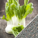 Semillas de repollo chino, Bok Choy tallo blanco(100% Heirloom/No Híbrido/No GMO).50 semillas aprox.