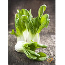 Semillas de repollo chino, Bok Choy tallo blanco(100% Heirloom/No Híbrido/No GMO).50 semillas aprox.