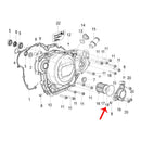 O Ring (LEONCINO250 / TNT25 / TRK251)