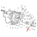 O Ring (LEONCINO250 / TNT25 / TRK251)