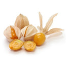 Semillas de uchuvas tomatillo de cereza molida (100%/No Híbrido/No GMO). 10 semillas aprox.