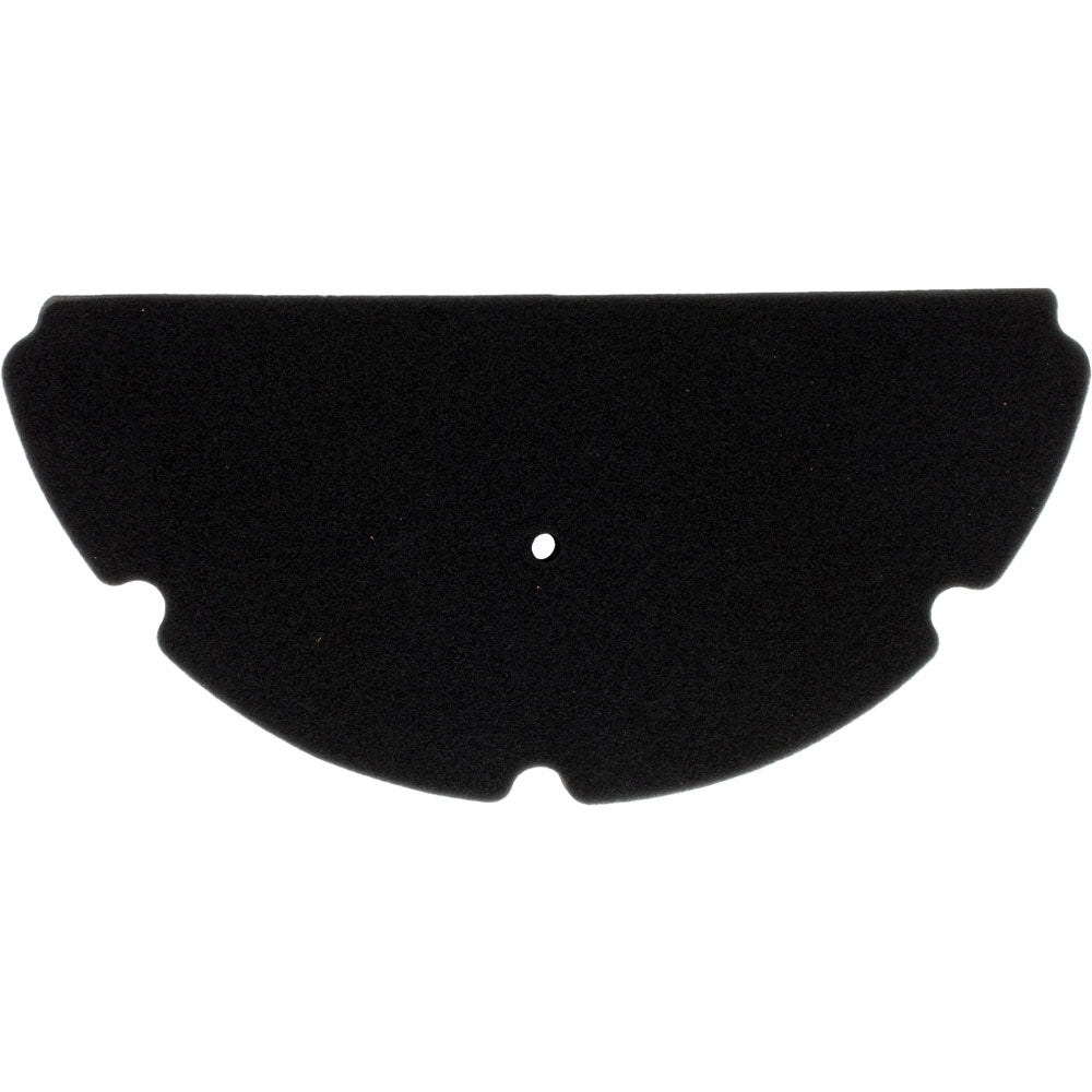 Filtro de aire (TNT600)