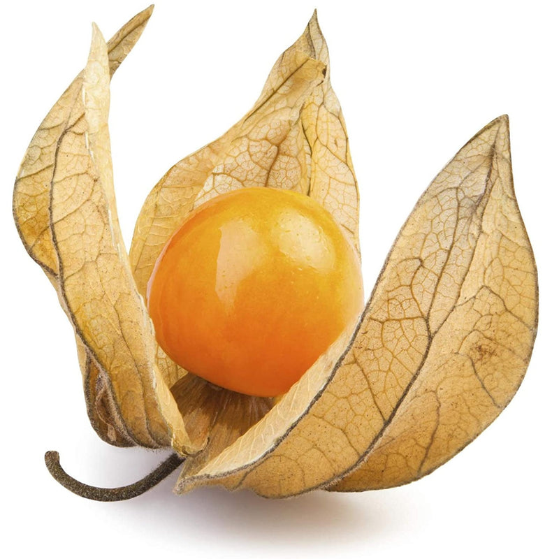 Semillas de uchuvas tomatillo de cereza molida (100%/No Híbrido/No GMO). 10 semillas aprox.