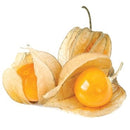 Semillas de uchuvas tomatillo de cereza molida (100%/No Híbrido/No GMO). 10 semillas aprox.