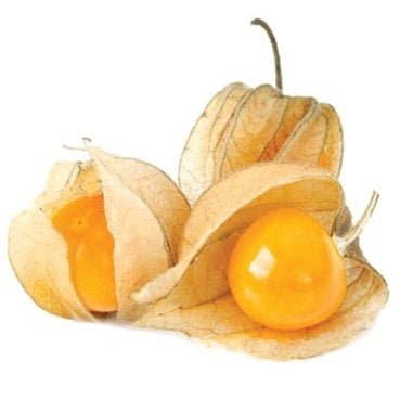 Semillas de uchuvas tomatillo de cereza molida (100%/No Híbrido/No GMO). 10 semillas aprox.