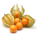 Semillas de uchuvas tomatillo de cereza molida (100%/No Híbrido/No GMO). 10 semillas aprox.