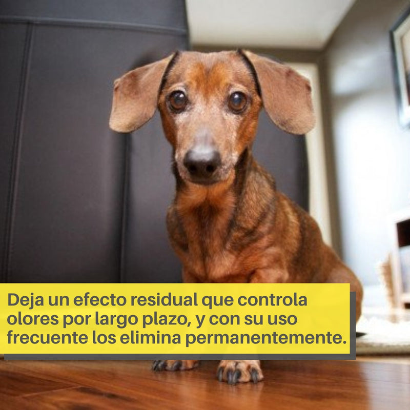 Limpiador y desodorizador Bio Pet. 1 Litro