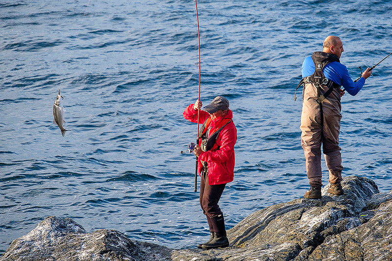 Señuelo Minnow lengua larga 14cm A/V