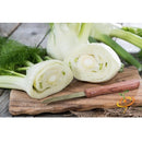 Semillas de hinojo (100% Heirloom / No Híbrido / No GMO). 100 semillas aproximadamente.