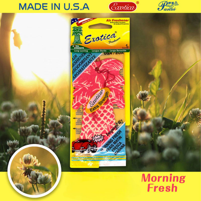 Desodorante con aroma a Fresh Morning. Aromatizante para Auto. Neutralizador de olores.