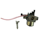 Carburador (TP880-1) ( AE003000341 )