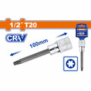 Dados Largos de Punta Torx 1/2". Long:100mm. Cr-V. Térmico. Cromado