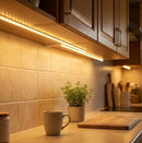 Cinta LED Exterior 5M 110V 3000K Tono Cálido, 40W, 4000lm, Tira Flexible 2835, 120 Chips/m, PVC. Tira LED.