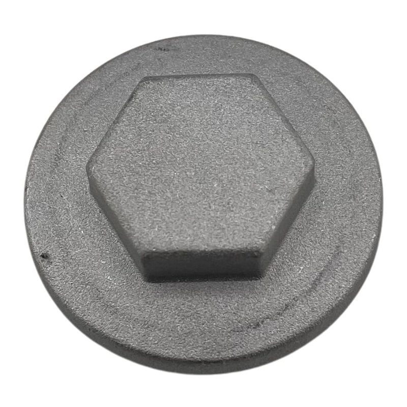 Tapon del filtro metalico (RKG150 / TX200)